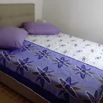 11 *